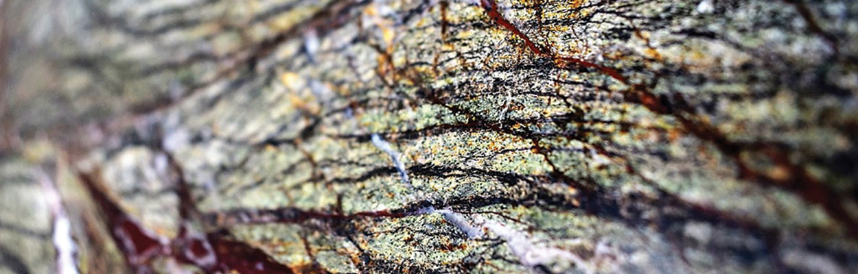 RainForest – Granito de venta en Cali